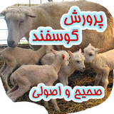 iran.kamranjan.amozeshgosfand