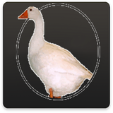 com.pishtaznovin_ht.parvareshghaz