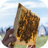 com.sra_ht.zanbordare