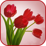 com.happysun.goodmorningpics2