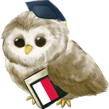 com.metalanguage.learnpolishfree