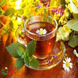 com.arvin_shk.damnoshmofid