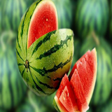 ir.topprogrammers.khavasjaamaetamamifruits