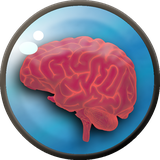 com.mandmstudio.hooshebartar2