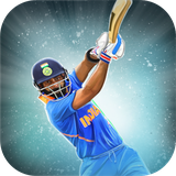 com.games.cricket.guesstheshot