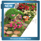 com.rajawalidroid.MiniatureGardensIdeas