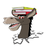 kharpedia.maryam.activity