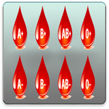 com.pishtaznovin_t.gorohekhon