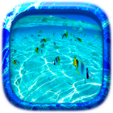 com.oaisy.puzzle.sea