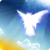 buy.orkide.fereshteh