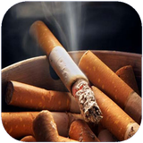 bodo.masrafdokhaniat