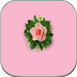 com.huawei.mate10.hd.wallpapers