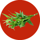 com.ahmad_ht.toledeesansehaegeyahe