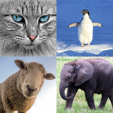 com.freeofflinegames.pairs