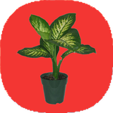 com.mnz_ht.golapartemani