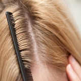 com.faghragha.soft.shore