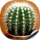 com.mnz_sqltlm.kactus