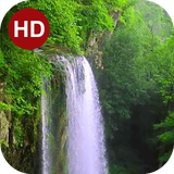 ir.hmh.PeaceLiveWallpaper_18