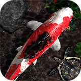 com.triggerwave.pocketponds