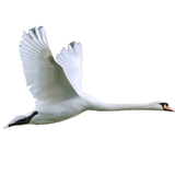 com.ghooiran.app.android