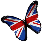 yhl.II000second.complete3