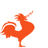 com.example.ali_najafi.irs