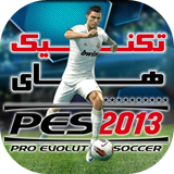com.PESTOOP.pes2013
