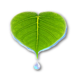 ir.shaparakha.giahanporkhasit