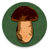 com.headcorp.bookofmushrooms