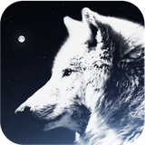 com.applicious.wolfwallpapers