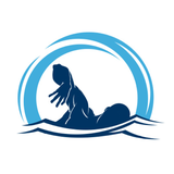 com.lujem.gharghnashi