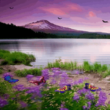 com.dakshapps.beautifullakebutterfly