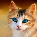 com.cat.kitten.wallpaper.cute.cats.kittens.wallpapers.backgrounds.offline