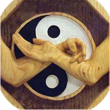 com.havinapp.wingchundummy