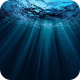 com.mfuzzy.m_1609_bz_deep_sea