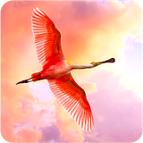 com.andromo.dev680484.app703709