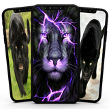 com.signature.blackphanterss