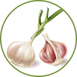 karimi.reza.surdarmuni