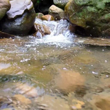 com.topwallpaperz.cleartransparentmountainstream