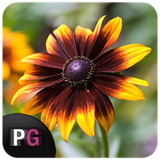 com.persiagraph.andvier_beautifulflowers