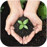 tehran.behsaazhaykhaak