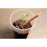 com.example.ketabdanest