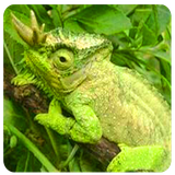 com.apsmiidiszv.soheiljafarian.mavara