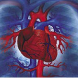 bemarigalbi.tiksestm