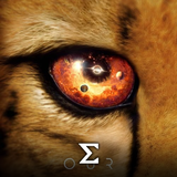 com.enigma.series.our_universe