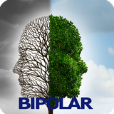 com.bedieman.bipolarDisorder