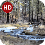 ir.hmh.PeaceLiveWallpaper_23