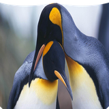 com.suntaban.pangoan