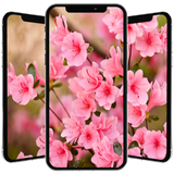 com.spring.wallpapers.azw