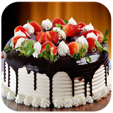 com.appcreater.cakeshirini